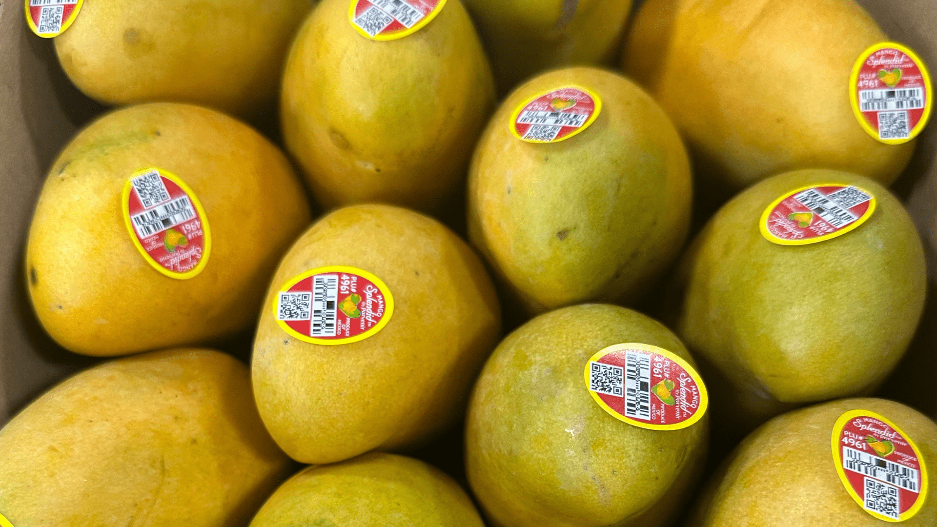 Produce_1. Single Shots_Mangos 1920x1080