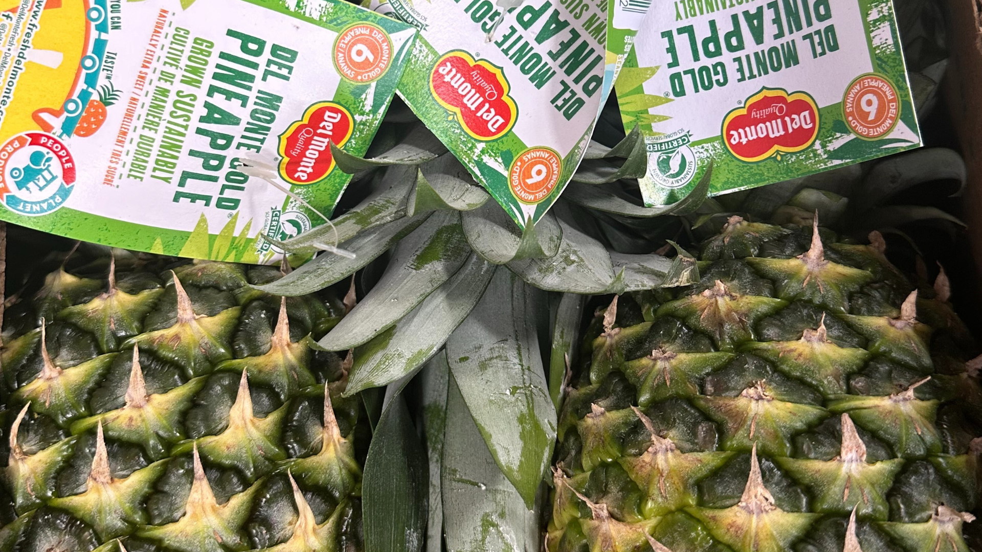 Produce_1. Single Shots_Pineapple 1920x1080